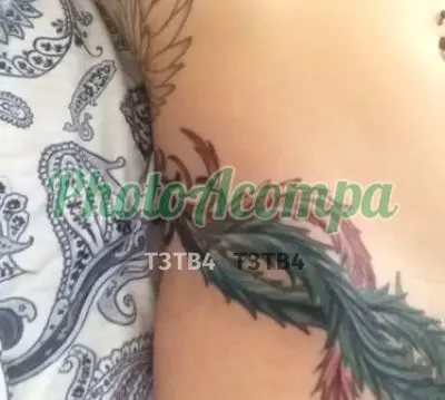 Capa do perfil de Rafa Lima