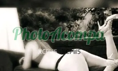 Capa do perfil de Pamy