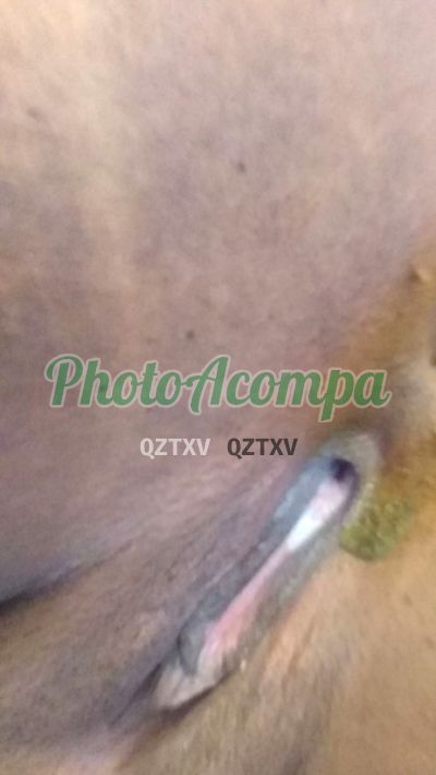 Foto 6 de Agatha, acompanhante em Belo Horizonte - MG