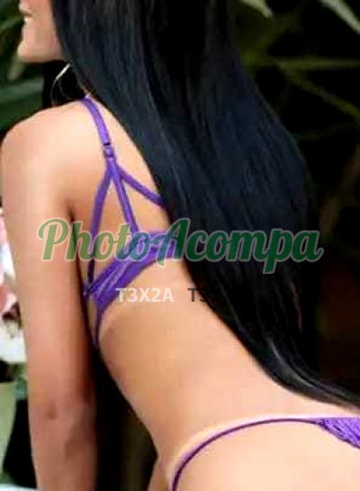 Foto 1 de Larissa, acompanhante em Campinas - SP