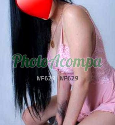 Foto 3 de Stefany, acompanhante em Praia Grande - SP