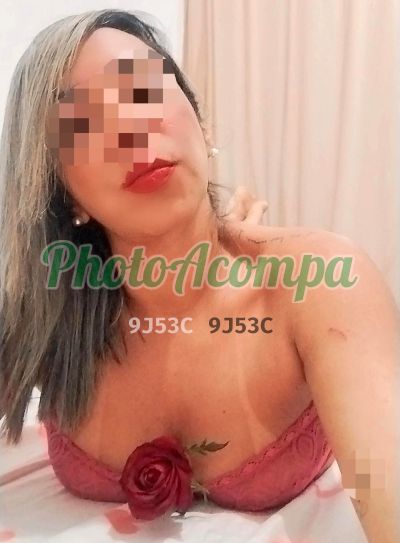 Foto 4 de Jéssica, acompanhante em Santos - SP
