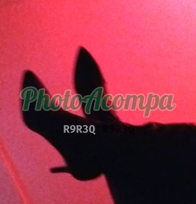 Foto 4 de Rafaela Bueno, acompanhante em Porto Alegre - RS