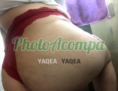 Foto 6 de Larissa Novidade, acompanhante em Blumenau - SC