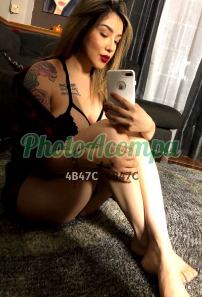 Capa do perfil de Letícia Focos