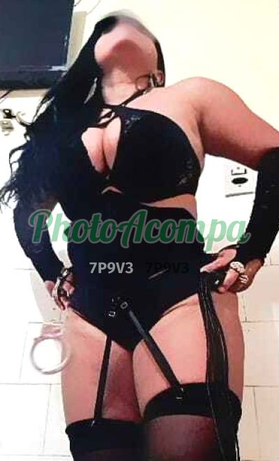 Capa do perfil de Suzana Theilor