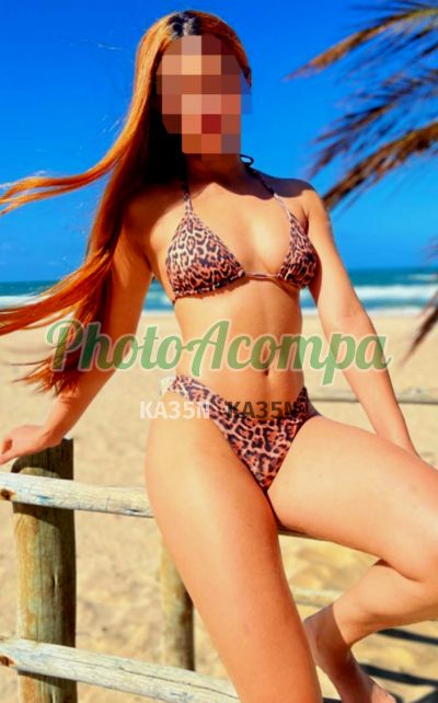 Foto 1 de Paloma, acompanhante em Fortaleza - CE