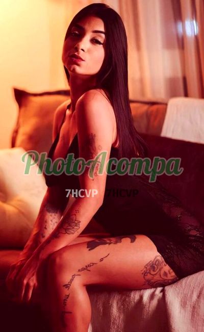 Capa do perfil de Paloma