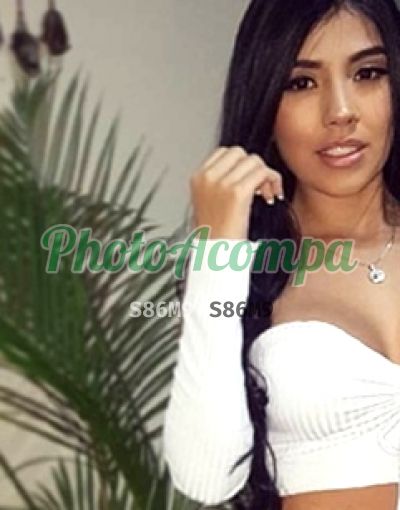 Foto 2 de Priscila Araujo, acompanhante em Niterói - RJ