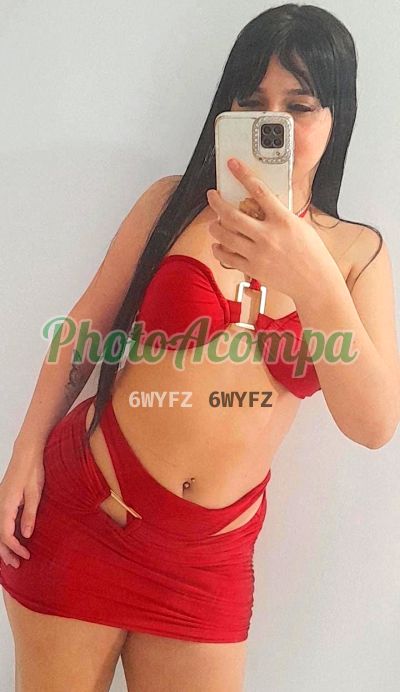 Foto 4 de Lívia, acompanhante em São José dos Campos - SP