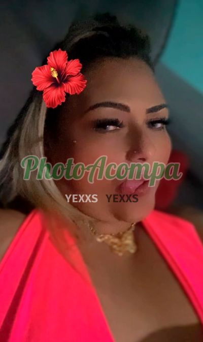 Foto 4 de Kelly Rainha Do Anal, acompanhante em Embu das Artes - SP