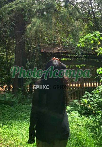 Foto 2 de Ana, acompanhante em Salvador - BA