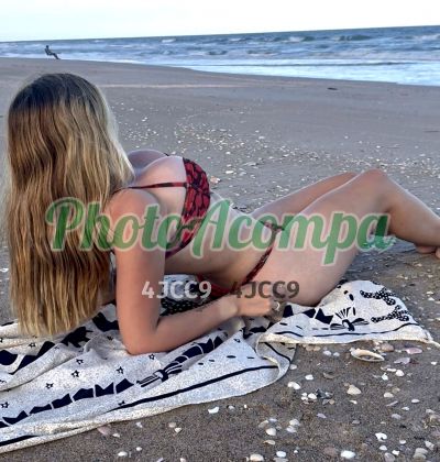 Foto 3 de Laura Paiffer, acompanhante em Campo Grande - MS