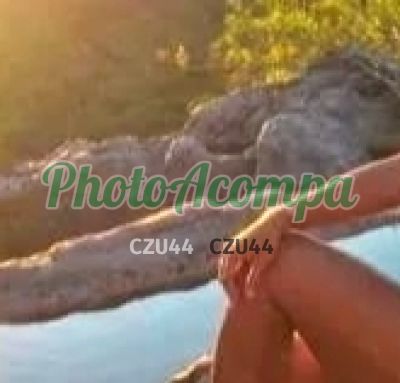 Foto 4 de Tainá, acompanhante em Rio de Janeiro - RJ