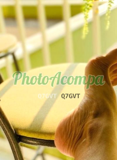 Foto 3 de Domme Pandora, acompanhante em Campinas - SP