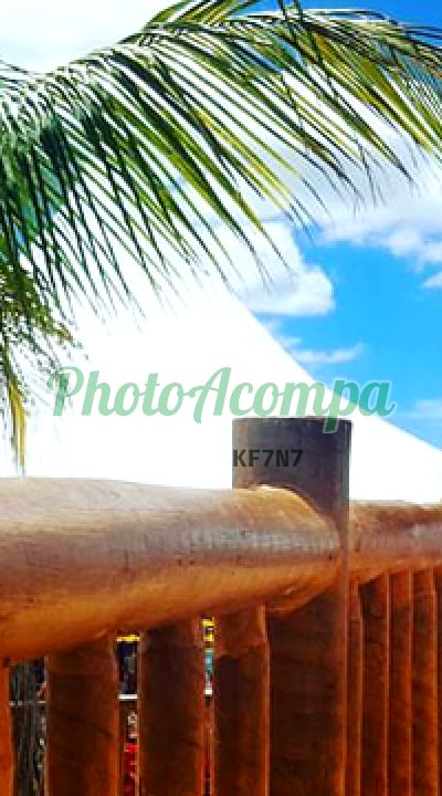 Foto 4 de Vitória, acompanhante em São José dos Campos - SP