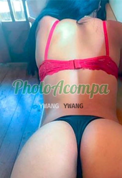 Foto 4 de Mayra, acompanhante em Ponta Grossa - PR