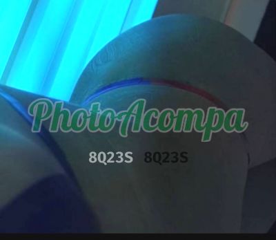Foto 4 de Mila Campos, acompanhante em Ilhabela - SP