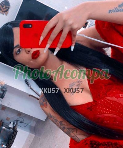 Capa do perfil de Lauren Novaes
